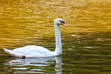 《电锯娇娃》现已发布 原价54元首周享受9折优惠