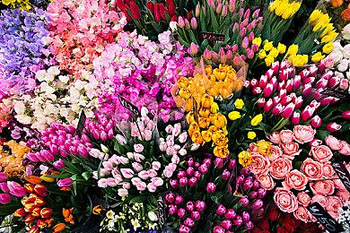 《幻影地狱猫》加长版预告片 展示更多游戏场景